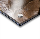 Orphaned elephants rehab center Sheldrick wildlife Acrylic print