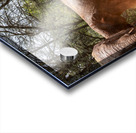 Orphaned elephants rehab center Sheldrick wildlife Acrylic print