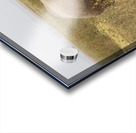 African Elephants Amboseli National Park Kenya Acrylic print