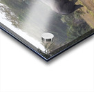  Elephants Amboseli National Park Kenya Acrylic print