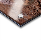 Sheldrick wildlife trust Nairobi Acrylic print