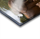 Orphaned elephants rehab center Sheldrick wildlife Acrylic print