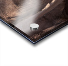 Orphaned elephants rehab center Sheldrick wildlife Acrylic print