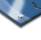 Great blue heron Pitt lake B.C Acrylic print