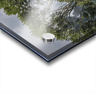 Giraffe Sweetwaters kenya Acrylic print