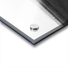 Elephant Amboseli National Park Kenya Acrylic print