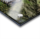 Augur buzzard Lake Nakuru kenya Acrylic print