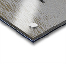 Black winged stilt Sweetwaters kenya Acrylic print