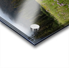 E.C Manning Provincial Park British Columbia Acrylic print