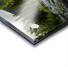 Cambie Creek E.C. Manning Provincial Park B.C Acrylic print