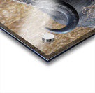 Water Buffalo Sweetwaters kenya Acrylic print