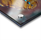 Chritmas tree worm Acrylic print