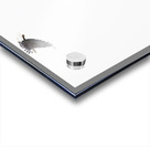 Eagle soaring over a tree Acrylic print