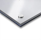 Eagle perched on top of a tree Acrylic print