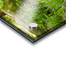 Koko-Em Gardens Kobe Japan 2 Acrylic print