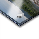 Pano of golden ears Acrylic print