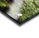 Bridal falls creek Acrylic print