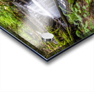 Bridal Veil Falls British Columbia Creek Acrylic print