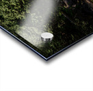 Gold Creek Falls Golden Ears Provincial Park British Columbia  Acrylic print