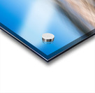 Log booms Fraser river Fort Langley British Columbia Canada Acrylic print