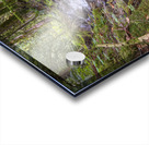 Bridal Creek Chilliwack British Columbia Acrylic print