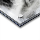 La Tahiti Peteete Tahiti Acrylic print