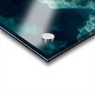 Convict Tang Acrylic print