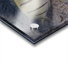 Convict Tang 2 Acrylic print