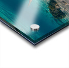 Black Tip Shark 2 Acrylic print