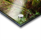 Flowing Creek at golden ears provincial Park British Columbia 2. Acrylic print