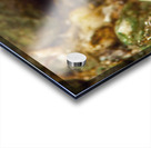 Gunnel Mukilteo Washington USA Acrylic print