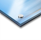 ICM of trees Acrylic print