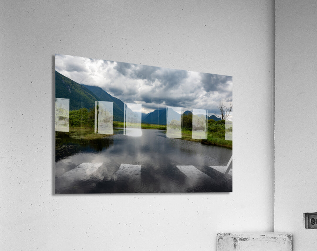 Heron cove Pitt lake B.C Acrylic Print