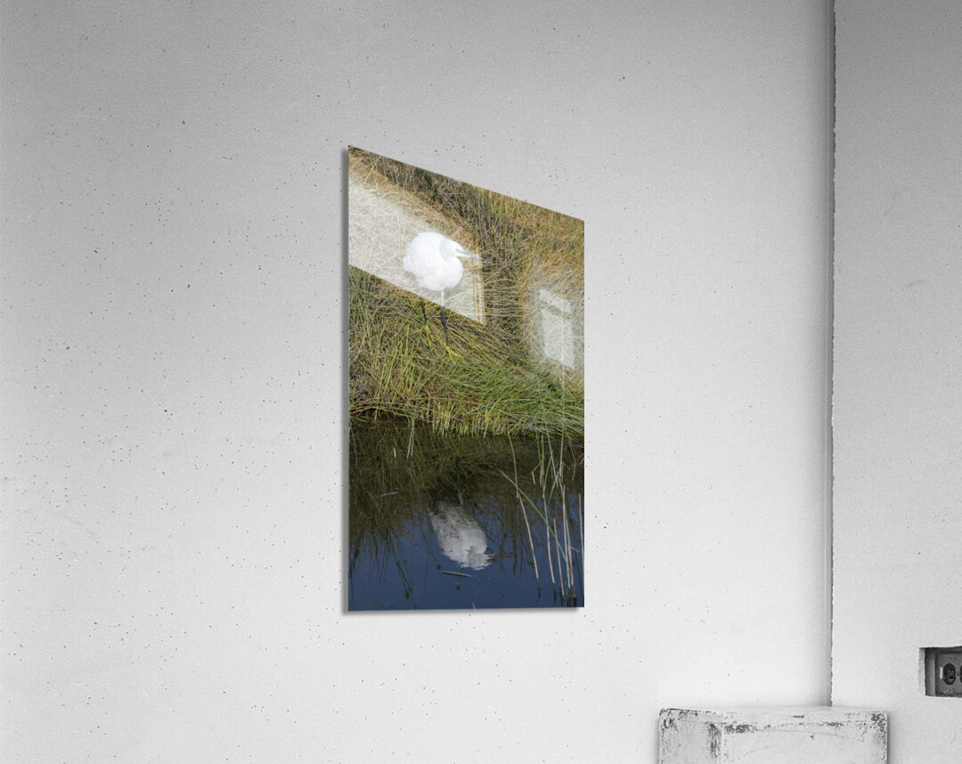 Egert Amboseli National Park Kenya Acrylic Print