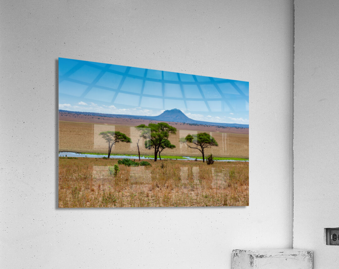 Tarangire National Park Tanzania Africa Acrylic Print