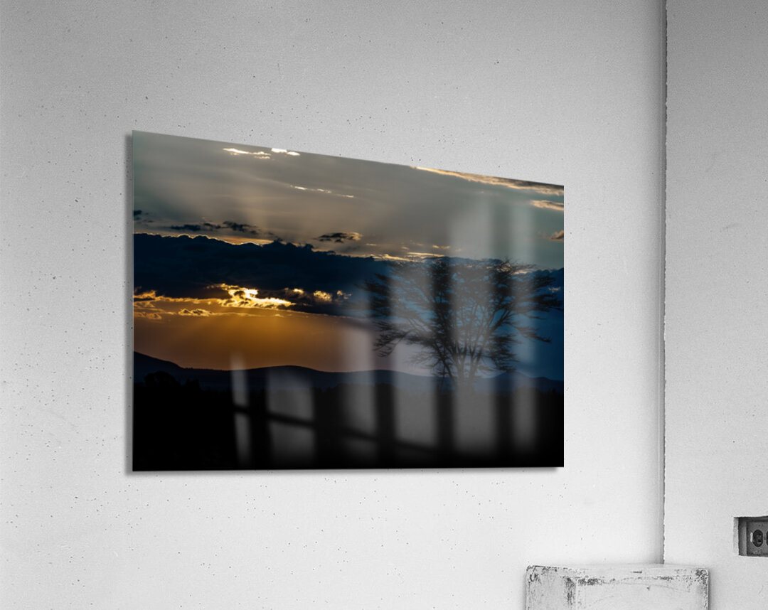 Sweetwaters game reserve Kenya africa Acrylic Print