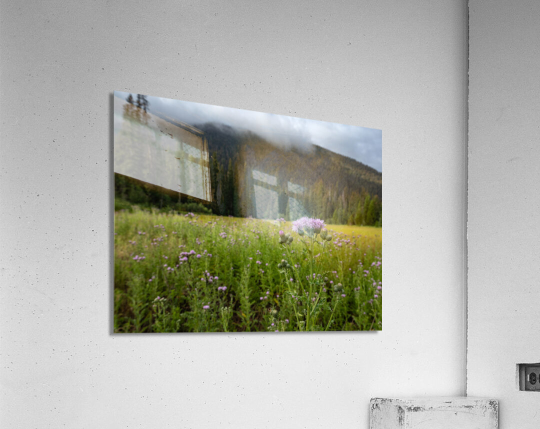 E.C Manning Provincial Park British Columbia Acrylic Print