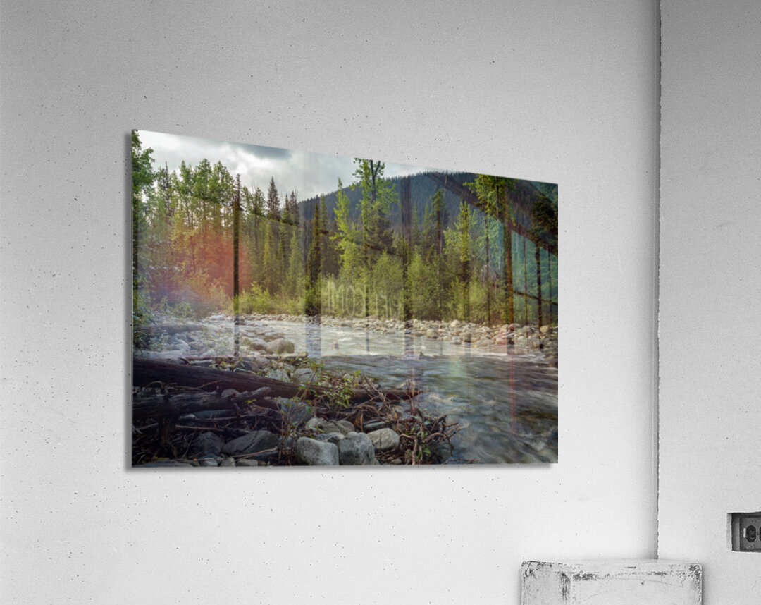 Cambie Creek E.C. Manning Provincial Park B.C Acrylic Print