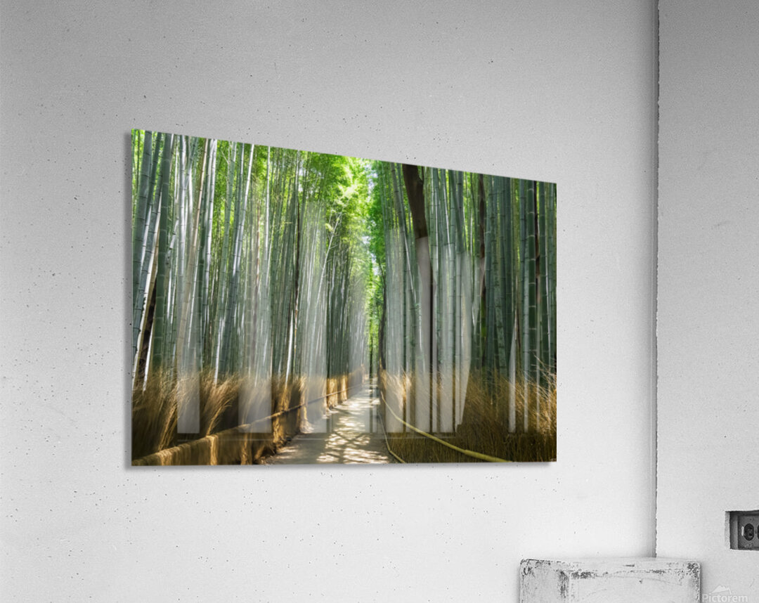 Bamboo forest Kyoto Japan Acrylic Print