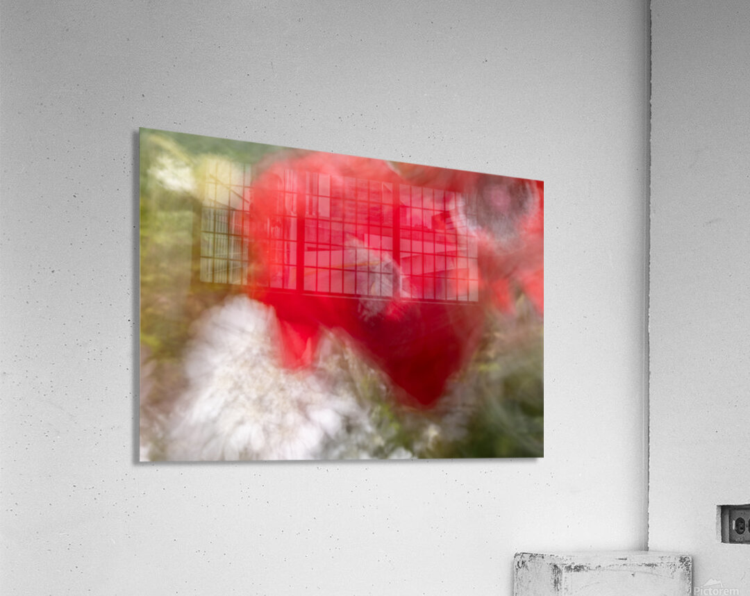Poppy ICM Acrylic Print