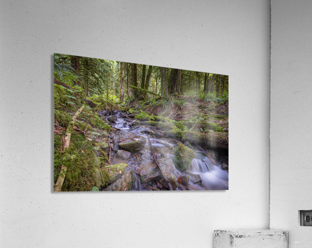 Bridal Creek Chilliwack British Columbia Acrylic Print
