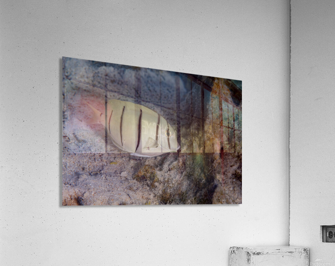 Convict Tang 2 Acrylic Print