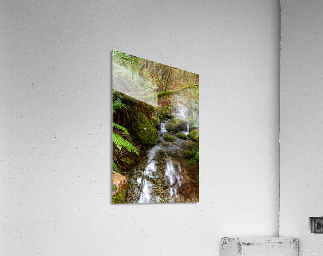 Flowing Creek at golden ears provincial Park British Columbia 2. Acrylic Print