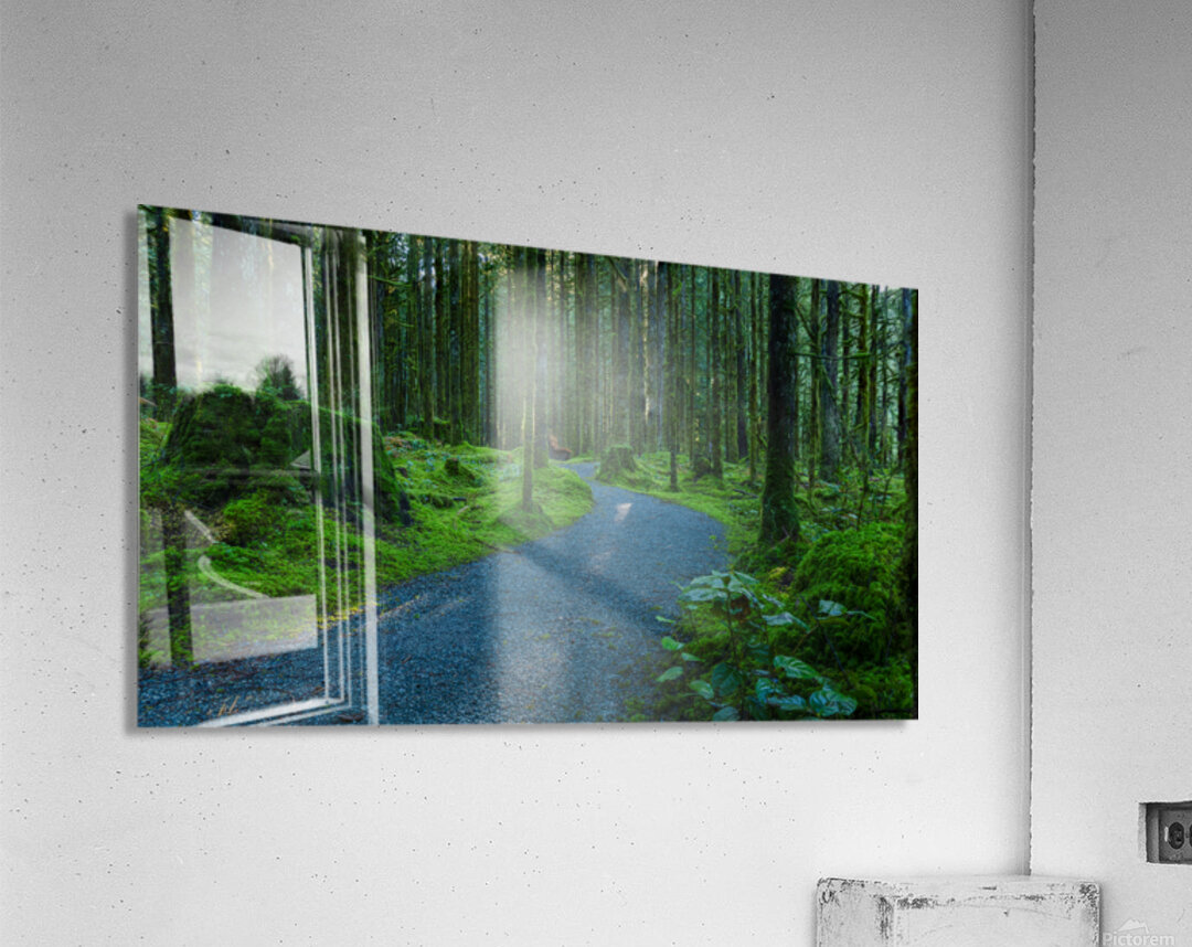 Trail in the woods Acrylic Print