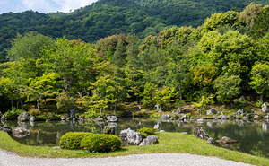 Tenryu ji Temple Gardens Kyoto