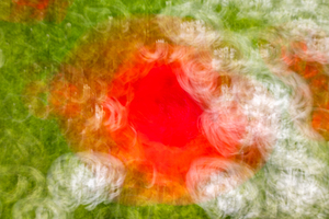 ICM of poppys Monets  Gardens Kotchi Japan