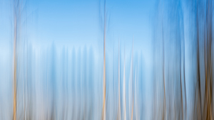 ICM of trees