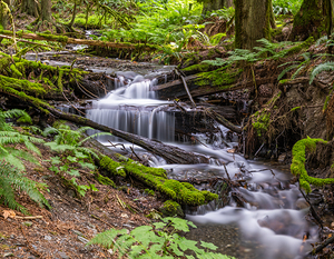 Bridal Veil Falls British Columbia Creek