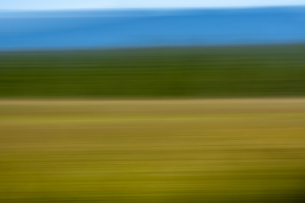  On the lake bog Houston trail Fort Langley Britsh Columbia Canada by Randy Roy Photography