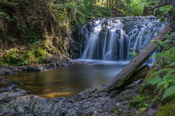 Rolley Lake falls Mission British Columbia 2 by Randy Roy Photography